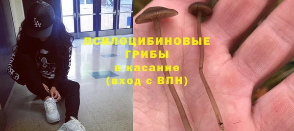 героин Алексин