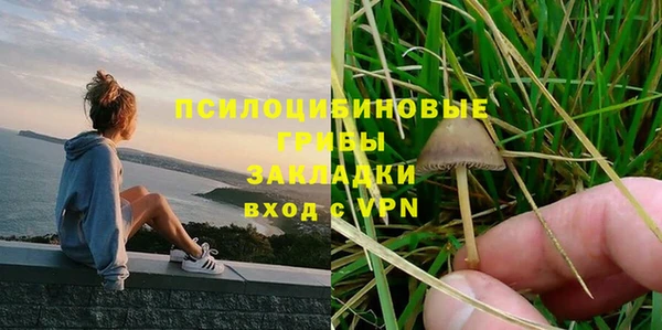 ешки Арсеньев